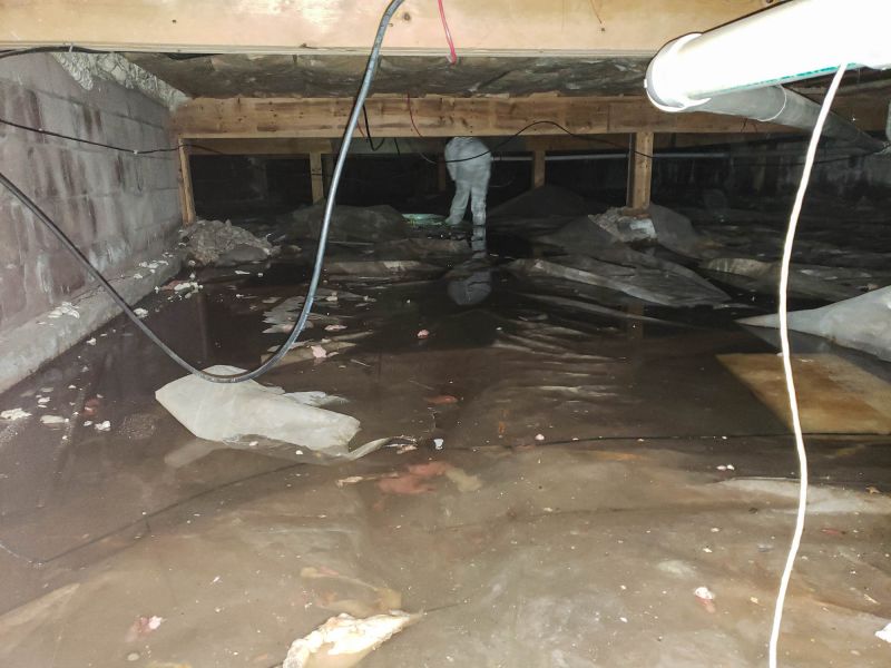 Wet Basement Repair